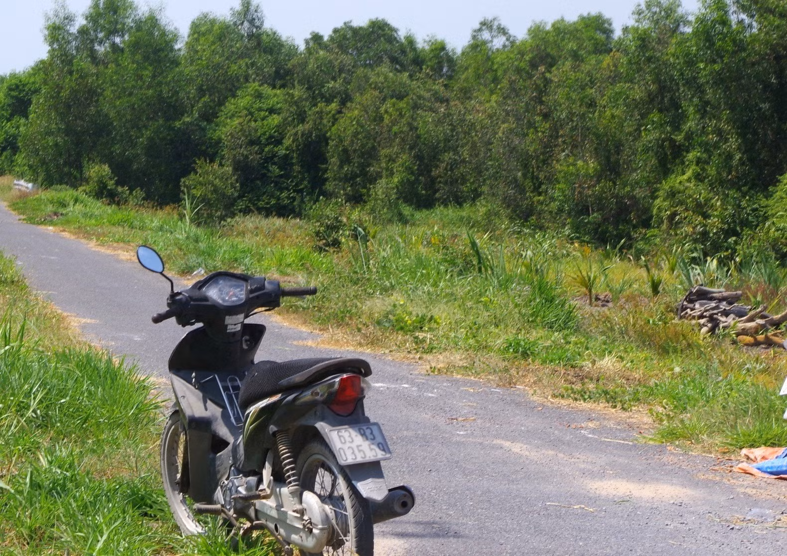 Phát hiện bộ xương người đã phân hủy trong vườn tràm -0