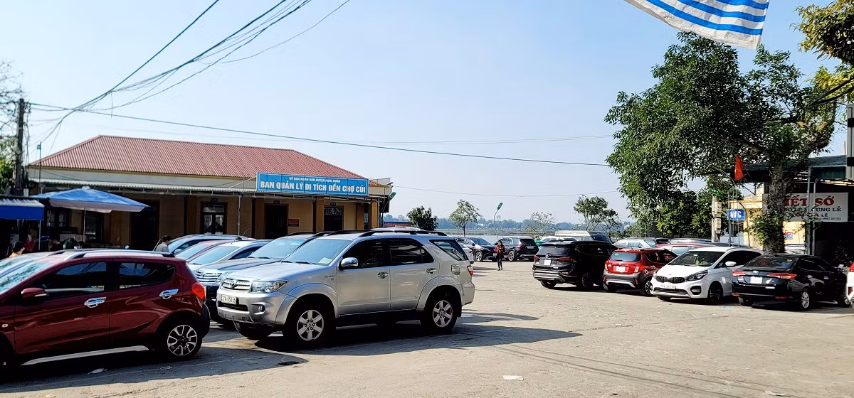 den cui-2.jpg -0