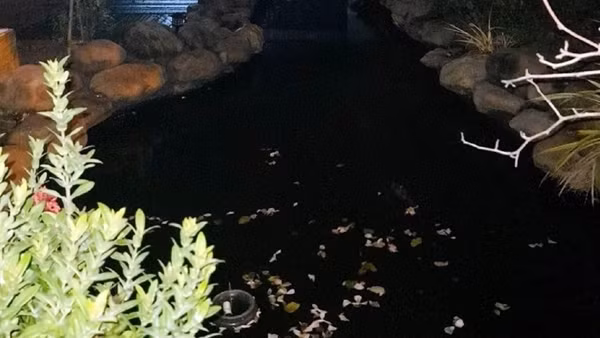 Hai cháu bé 4 tuổi đuối nước thương tâm trong hồ cá cảnh