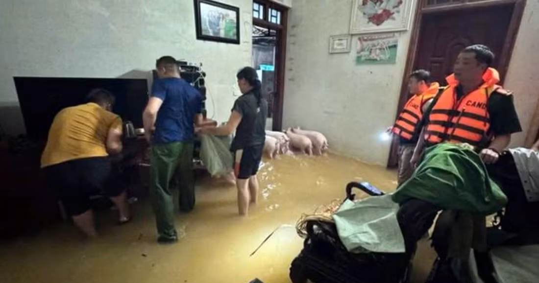 Nhiều hộ dân, trường học ở Cao Bằng ngập sâu do mưa lớn -0