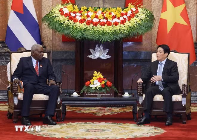 Chủ tịch nước: Việt Nam muốn nâng cao hơn nữa hiệu quả hợp tác với Cuba -1