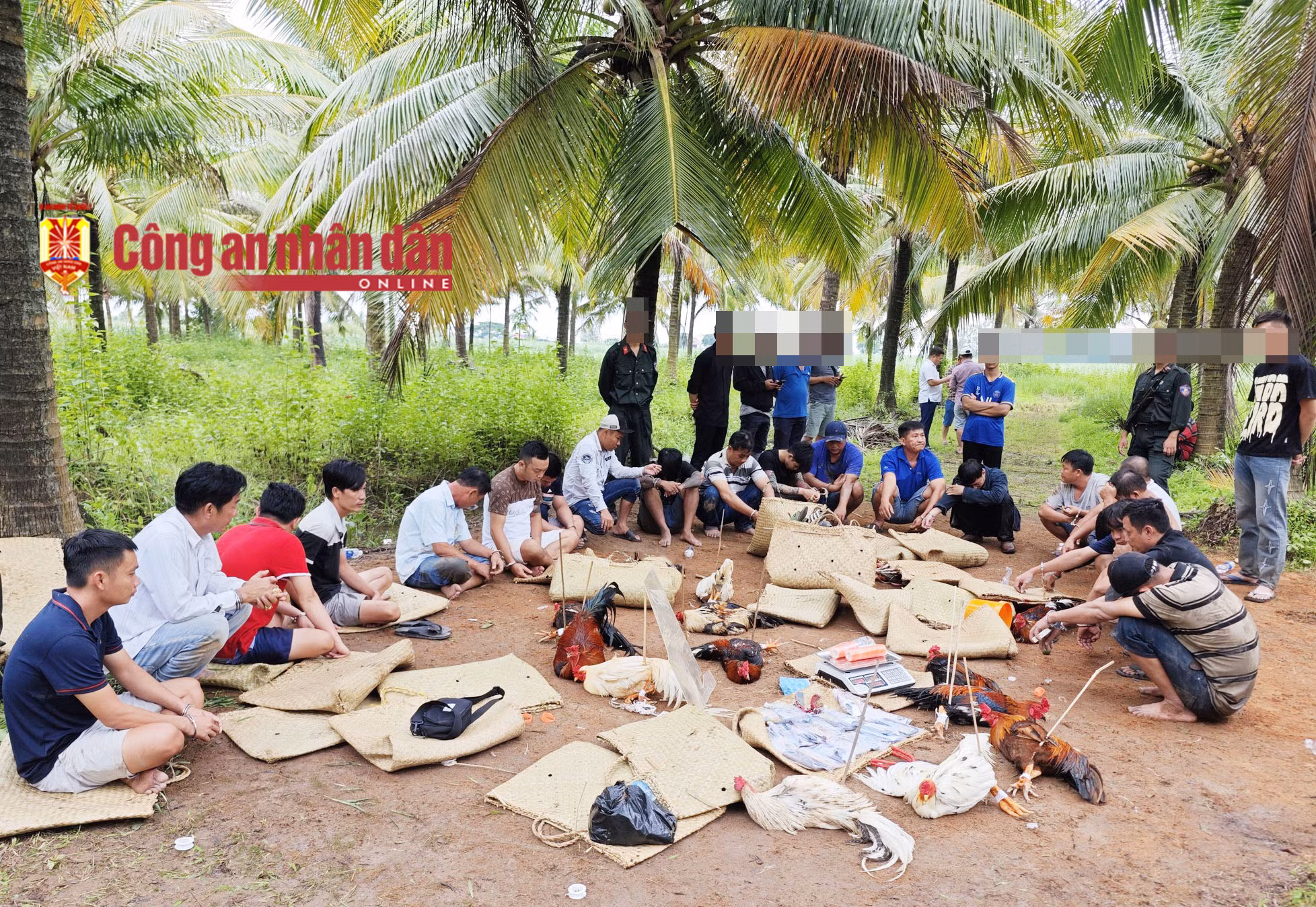 Truy tìm 6 đối tượng liên quan đến vụ sát phạt hai trận đá gà trên 1,6 tỷ đồng -0