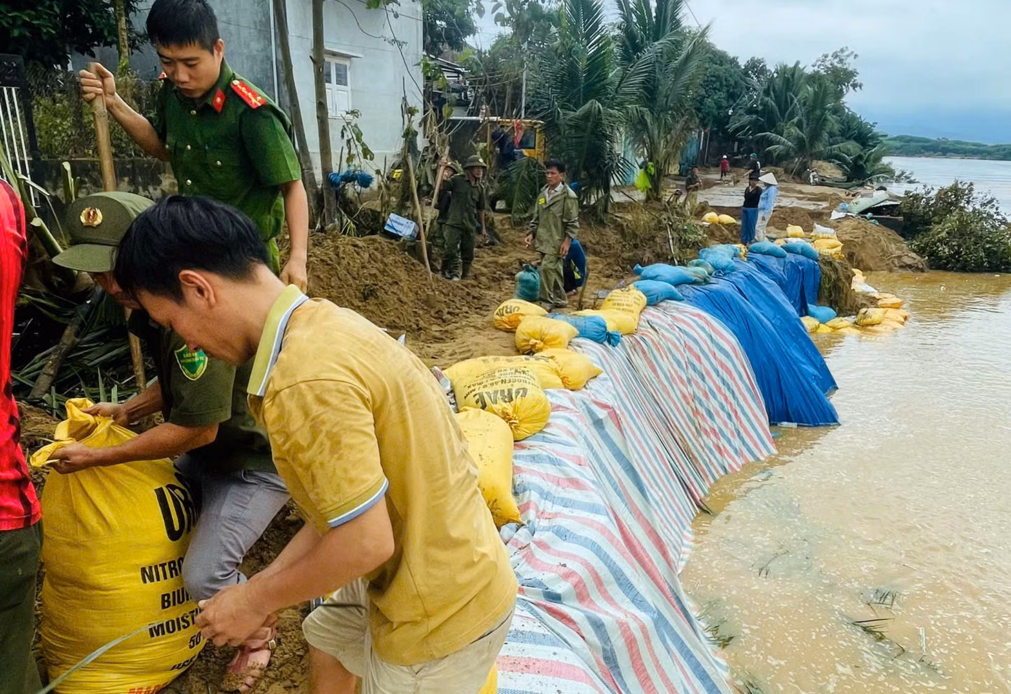Bờ sông Thu Bồn sạt lở nghiêm trọng sau lũ, đe dọa an toàn của hàng trăm hộ dân -0