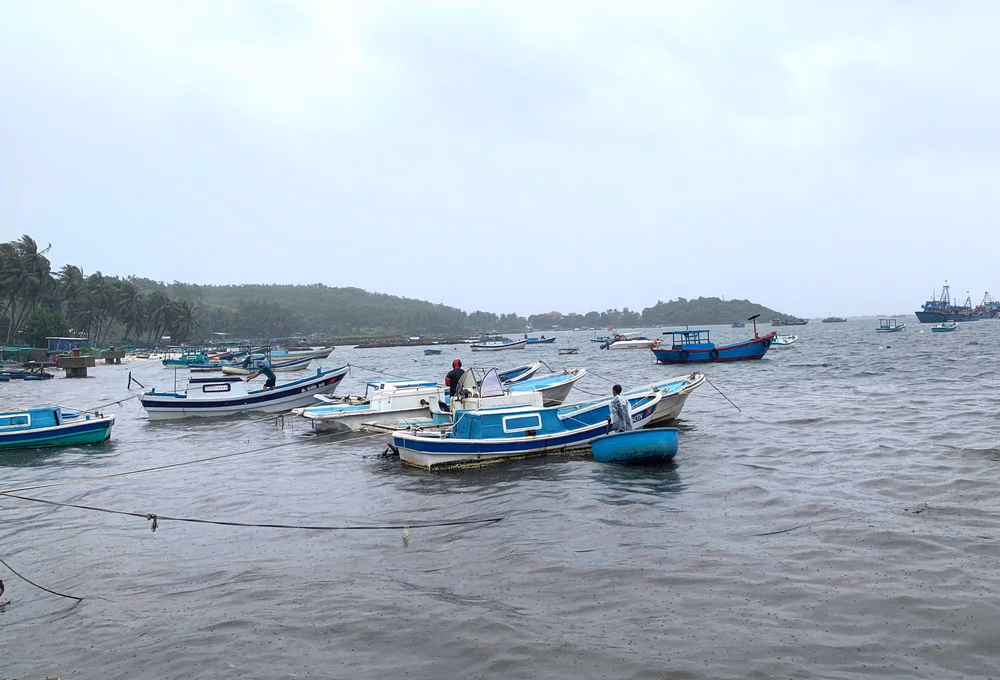 Phó bí thư Tỉnh ủy Đắk Lắk “gõ cửa từng nhà” yêu cầu người dân sơ tán tránh bão -0