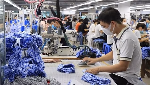 Một số vấn đề pháp lý hướng đến bảo vệ lợi ích của người lao động ảnh 1
