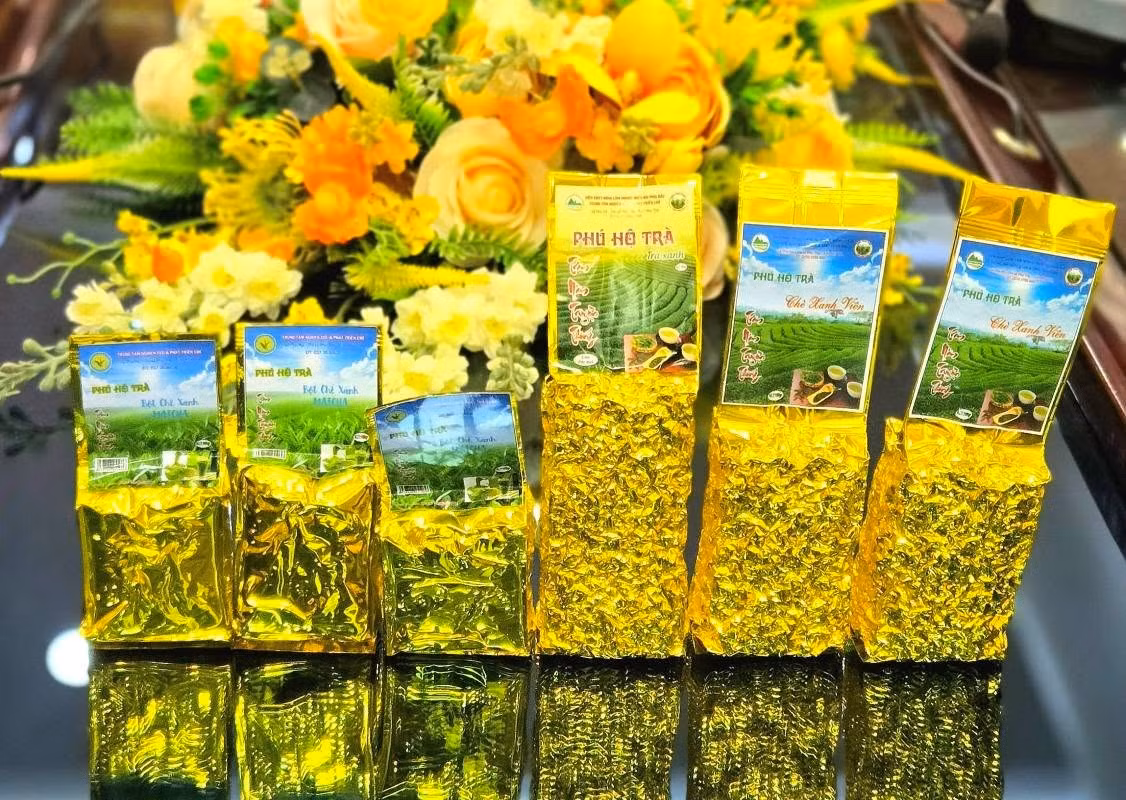 Phú Thọ hướng đến thập kỷ bứt phá -0