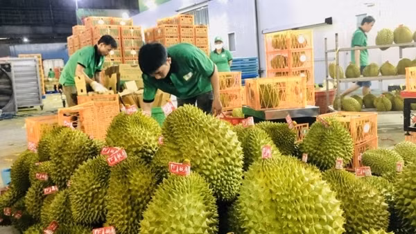 Đẩy mạnh xuất khẩu vào thị trường Trung Quốc