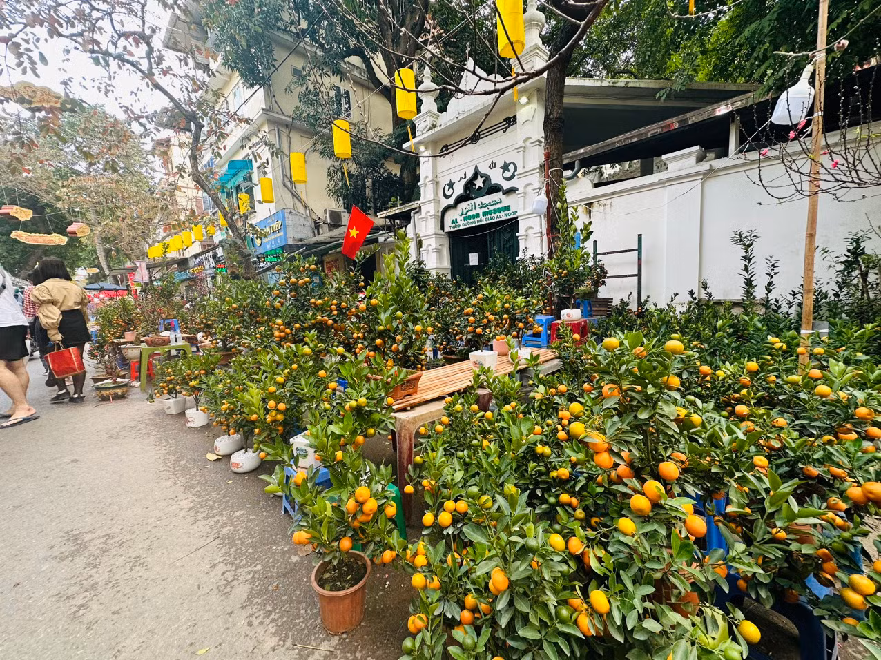 Chợ hoa Hàng Lược rực rỡ sắc màu cuối năm -0