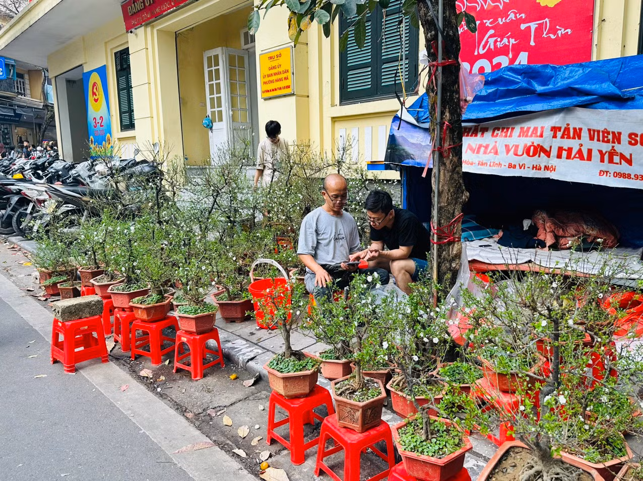 Chợ hoa Hàng Lược rực rỡ sắc màu cuối năm -0