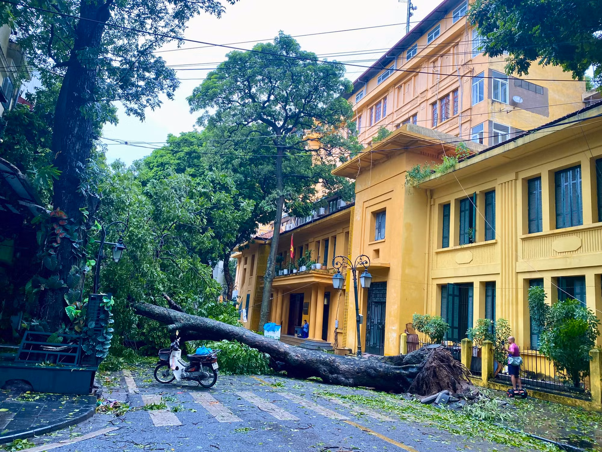 Tập trung khắc phục hậu quả thiên tai, cứu các cây xanh gãy đổ -0