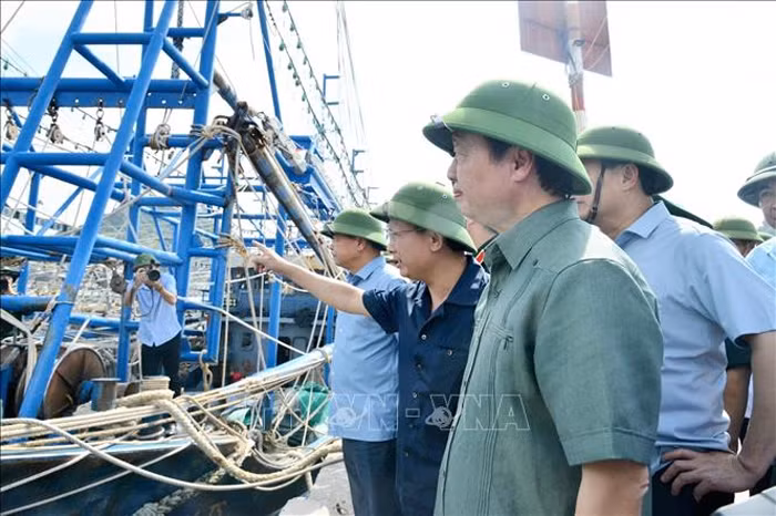 Phó Thủ tướng Trần Hồng Hà: Chủ động phòng chống gió mạnh, vùng hoàn lưu lớn và nguy cơ sạt lở cao trên diện rộng -0