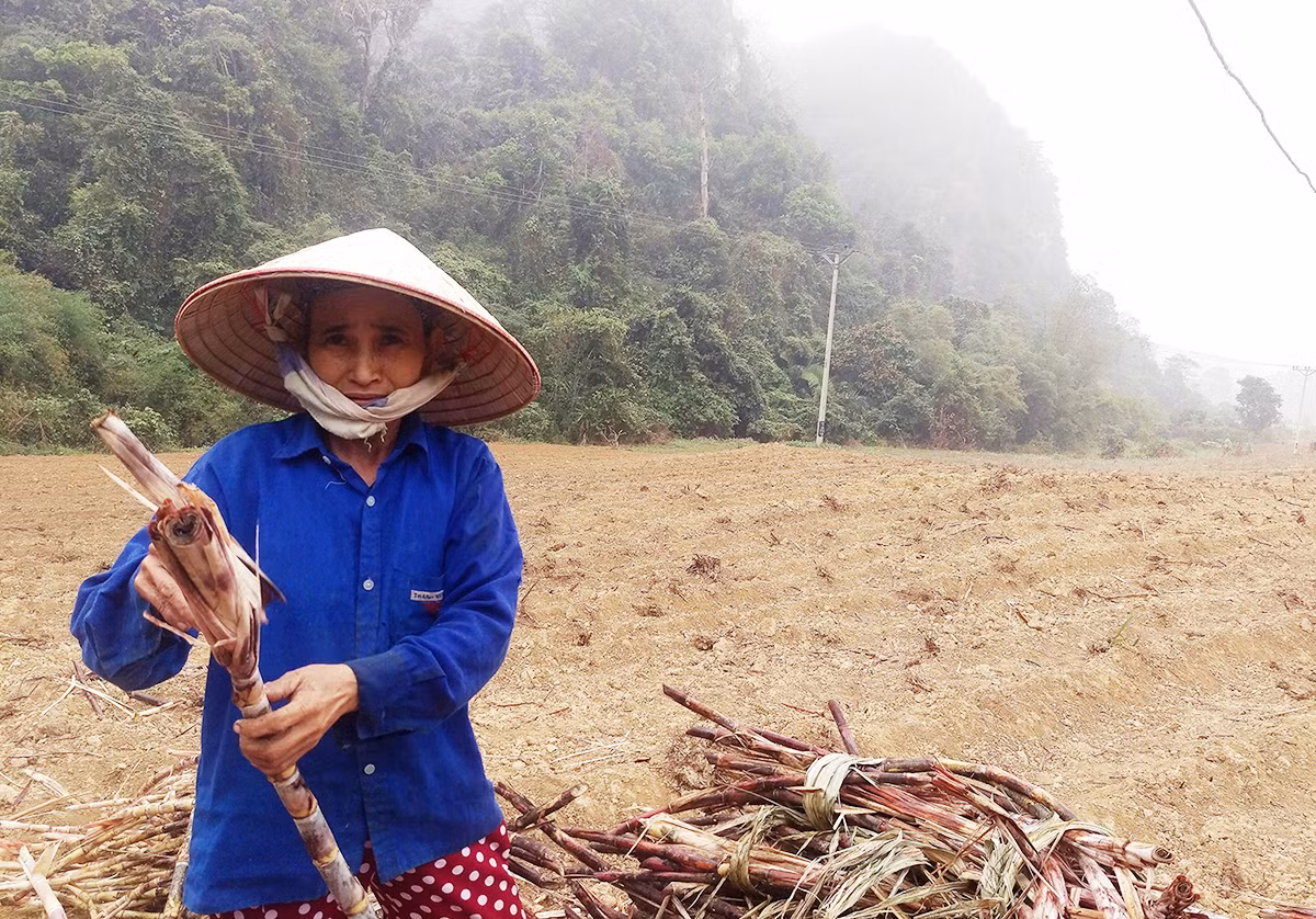 Moong Lồ hay chuyện về con hổ kỳ vĩ nhất Đất Việt -0