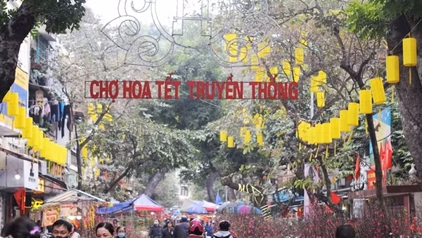Chuyện chăm sóc Chúa sơn lâm ở Hà Nội ảnh 12