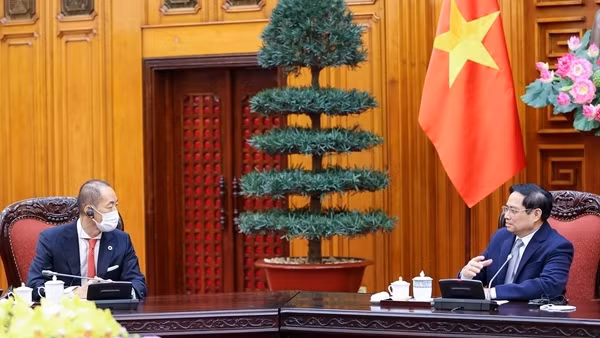 Điều kiện để thế giới vượt "giai đoạn cấp tính" của đại dịch COVID-19 ảnh 3