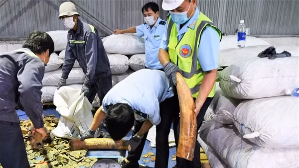 Bắt giam đối tượng mua bán, tàng trữ hơn 6.000 bao thuốc lá lậu ảnh 4