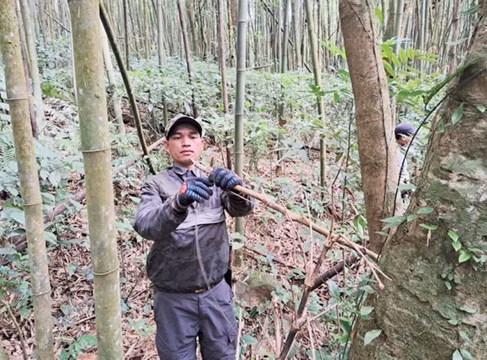 Tháo bẫy động vật hoang dã giữa rừng đại ngàn Trường Sơn -0