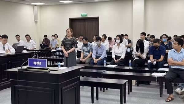 Chủ tịch Tập đoàn Vimedimex bác bỏ lời khai về việc thông đồng giá đất