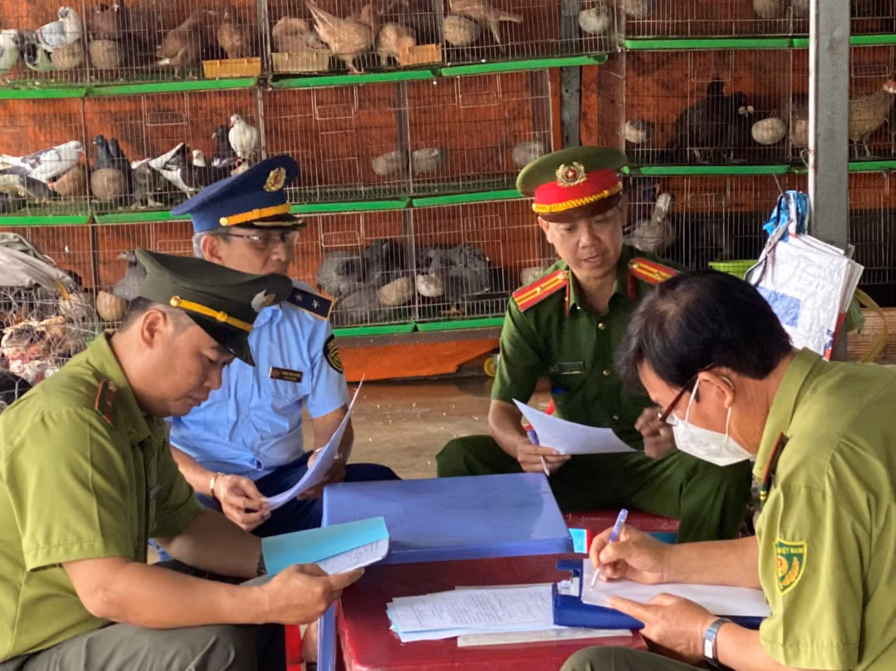 Ngăn chặn vấn nạn mua bán trái phép động vật hoang dã tại Long An -0