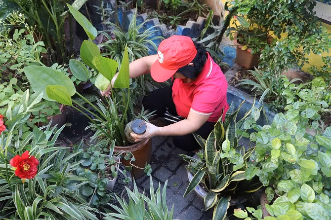 Hà Nội thêm 2 ca tử vong do sốt xuất huyết -0