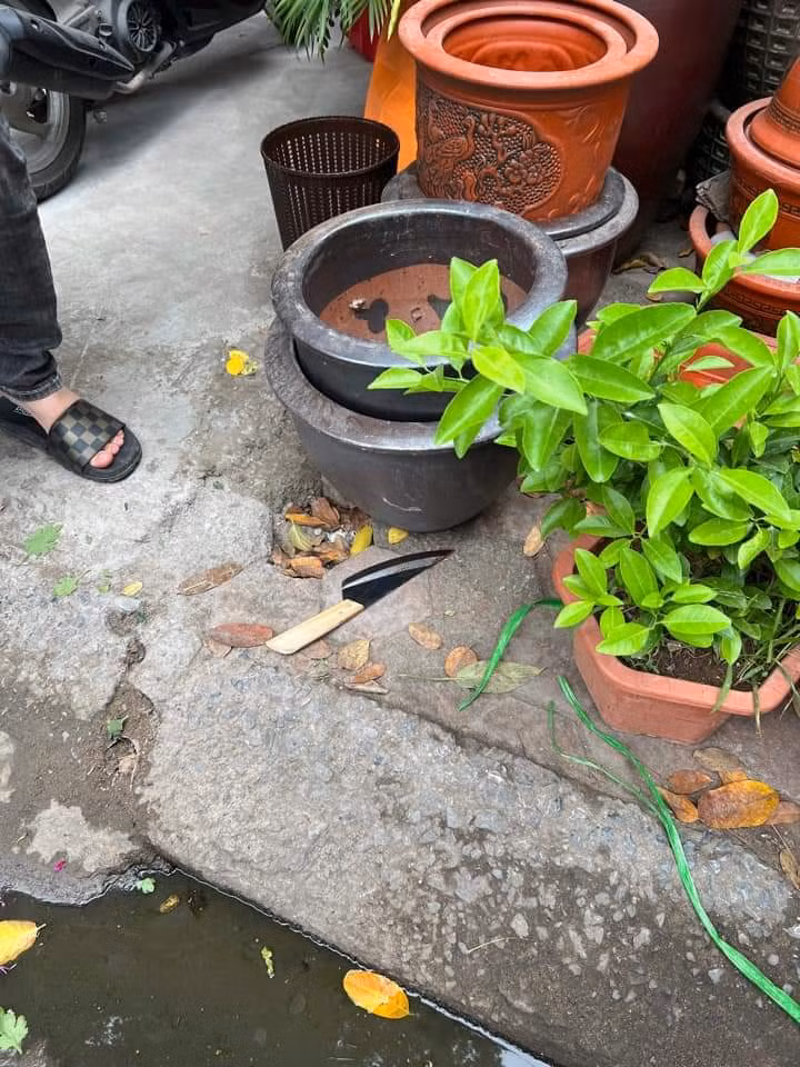 Một phụ nữ bị đối tượng cửa vào cổ mất nhiều máu -0