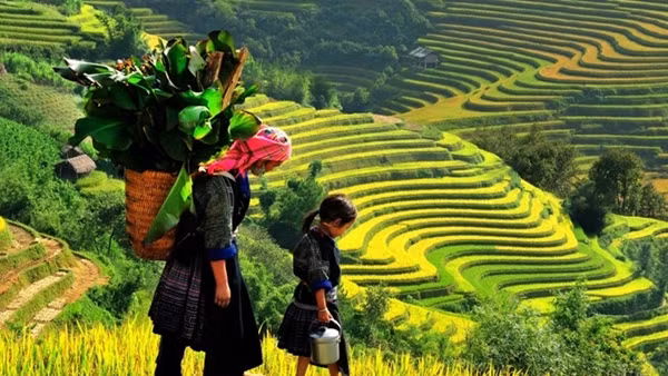 Nhiều bất cập, hạn chế trong phát triển kinh tế - xã hội vùng đồng bào dân tộc thiểu số, miền núi