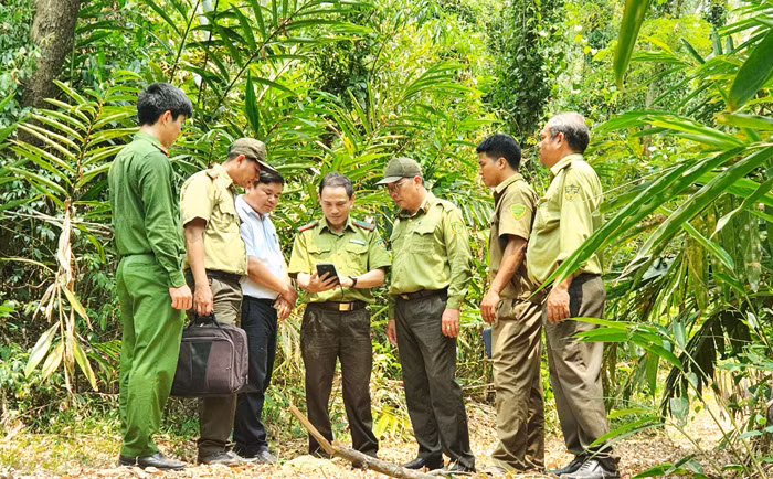 Tăng cường giải pháp bảo vệ “lá phổi xanh” ở Phú Yên -0