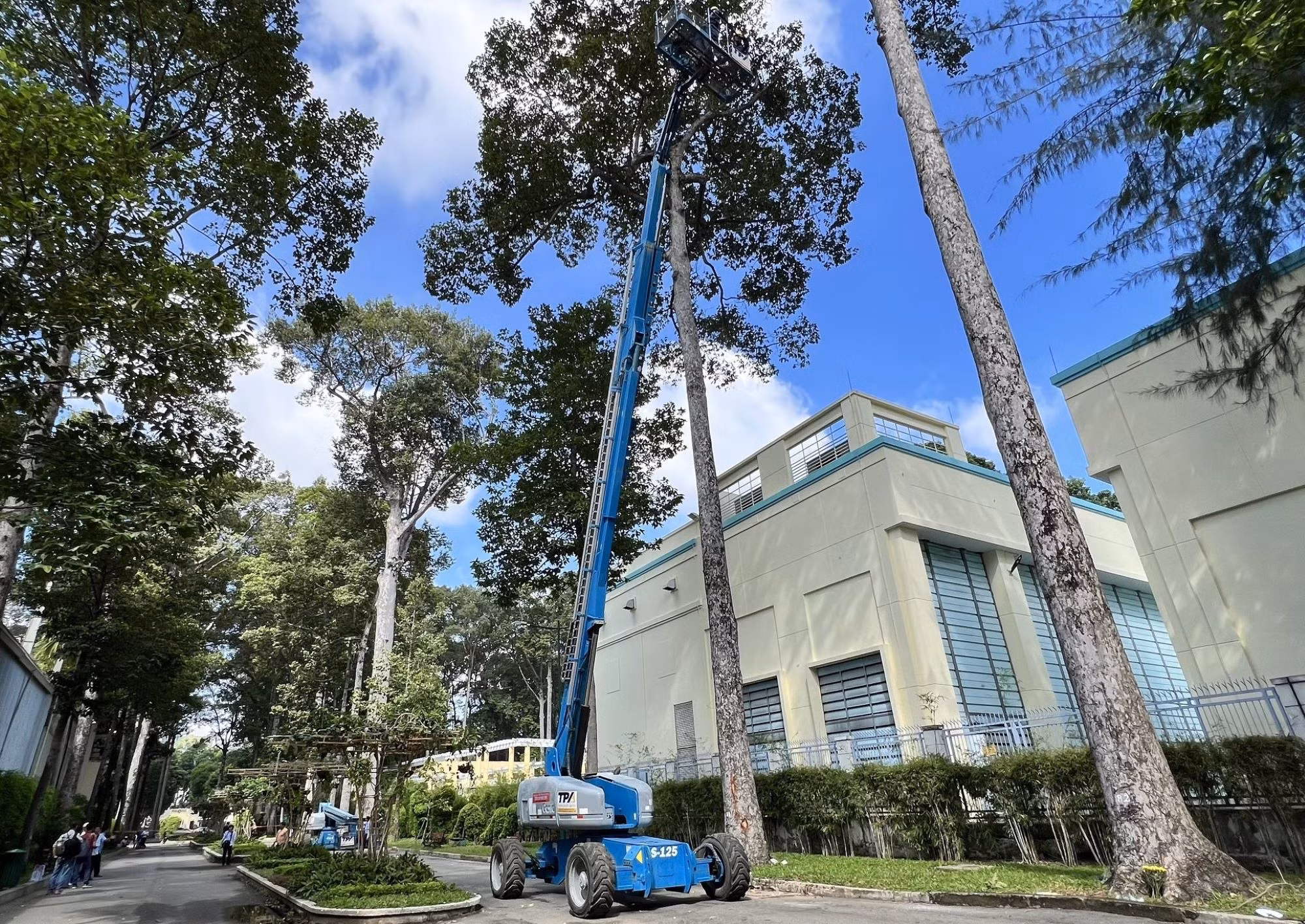 “Soi” cây xanh khiếm khuyết bằng flycam để tránh sự cố đáng tiếc -0