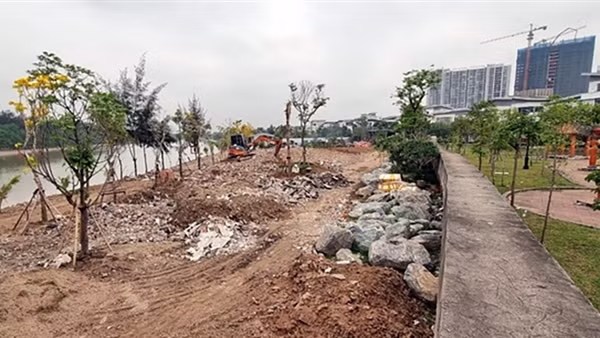 Nhức nhối tình trạng vi phạm đê điều ở Hải Phòng