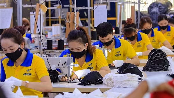 Chưa chốt phương án tăng lương tối thiểu vùng 2024
