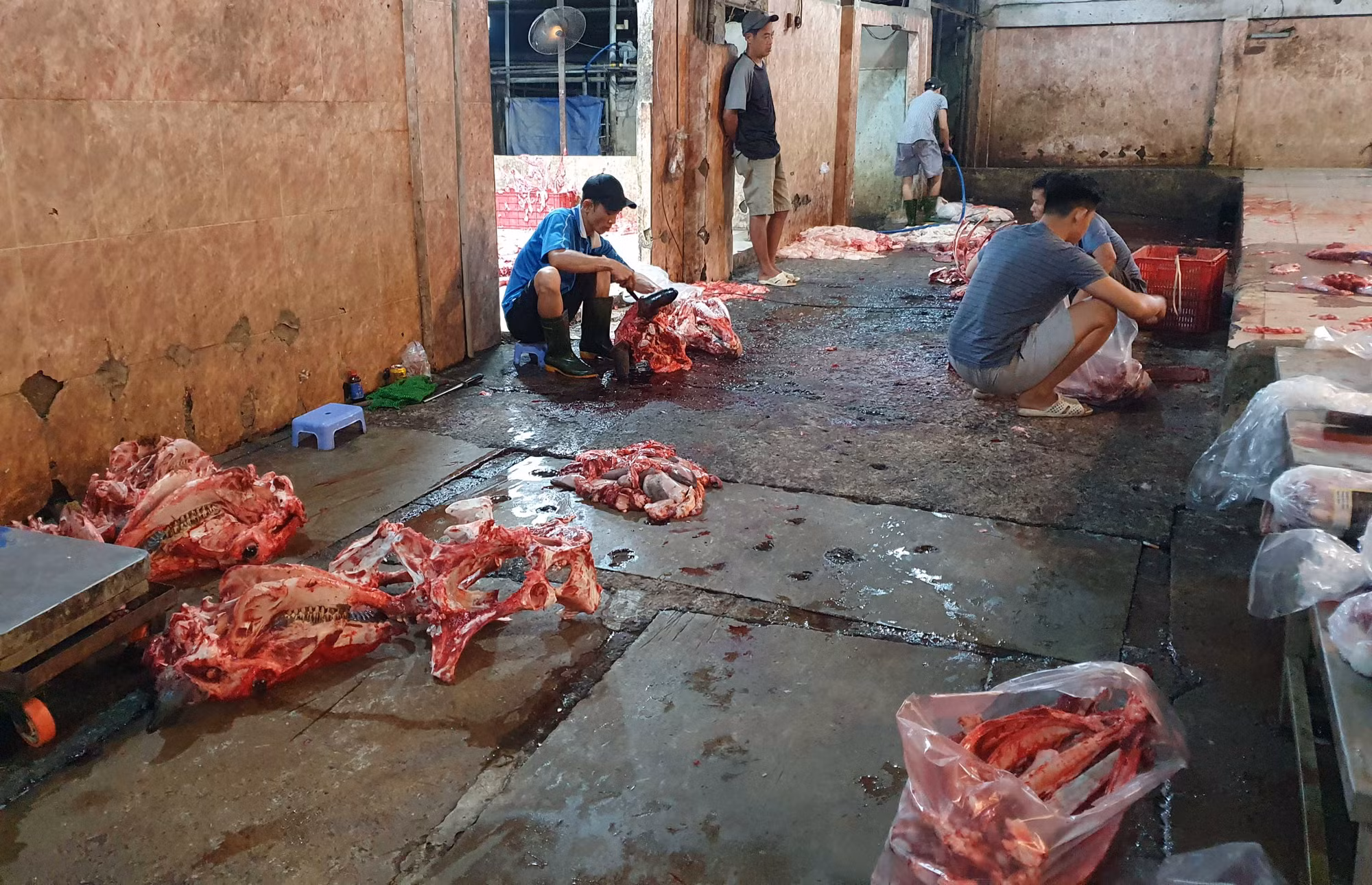Liên tiếp phát hiện các lò mổ gia súc, gia cầm “lậu” ở thủ phủ chăn nuôi -0