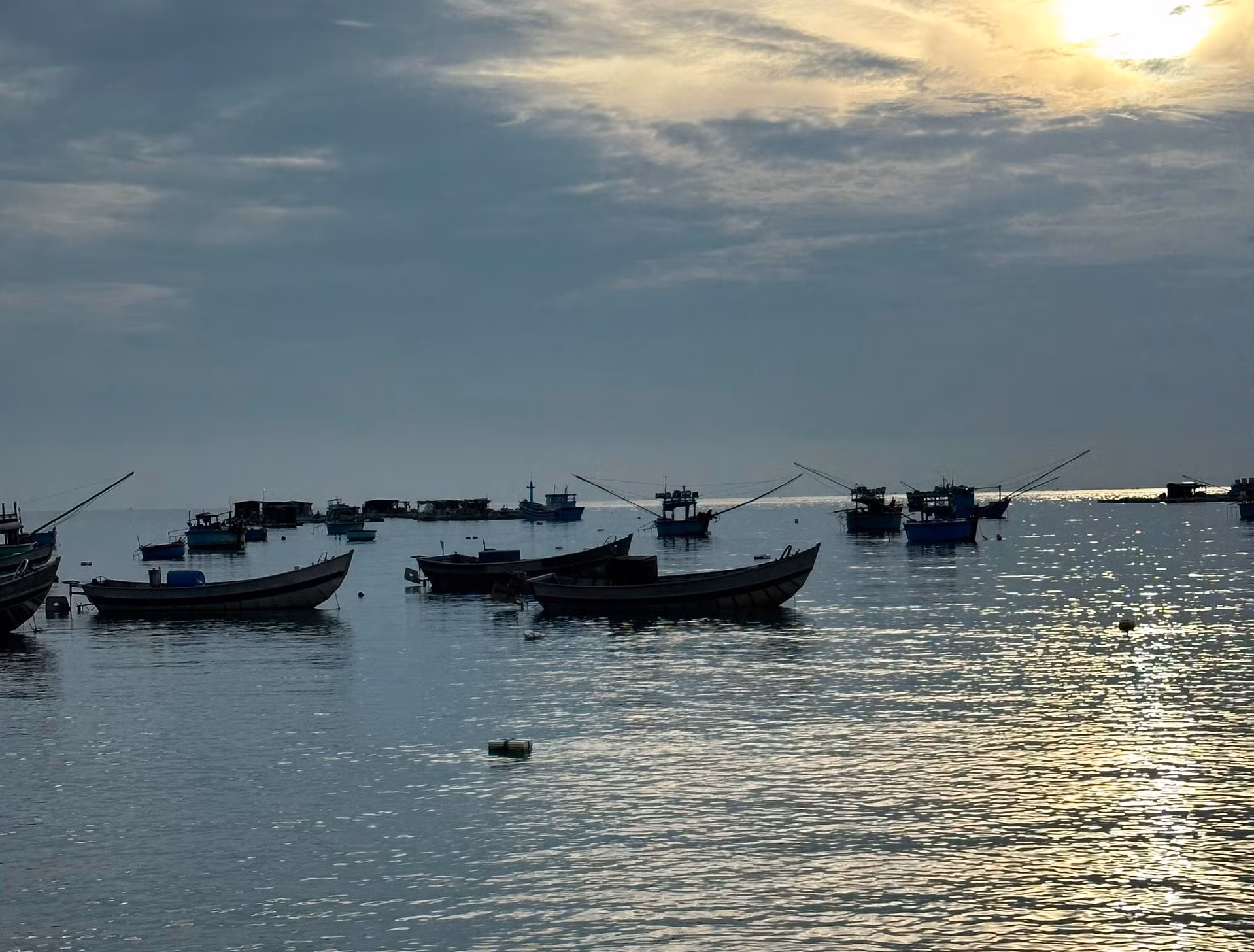 Truy tìm tàu vận tải biển tông chìm tàu cá ở phía Nam tỉnh Ninh Thuận -0