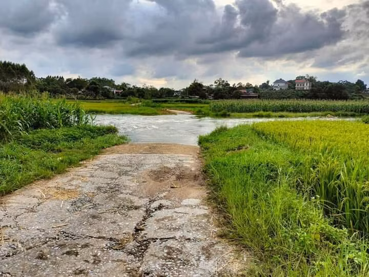 Đi cùng bố qua máng tràn, bé gái bị nước cuốn trôi -0
