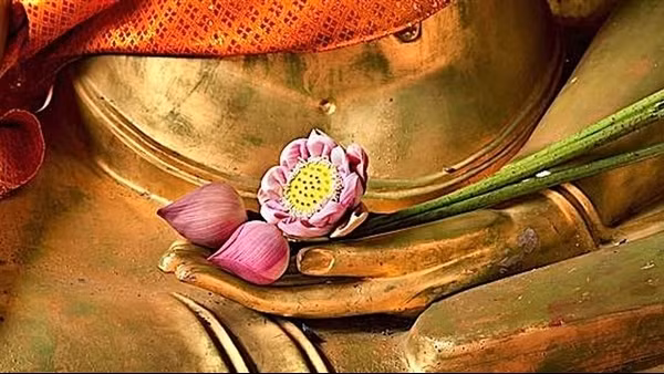 Cuộc chạy trốn của bông hoa hay cánh cửa của đau khổ?