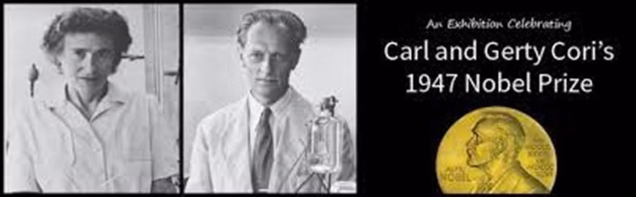 Người phụ nữ đầu tiên được trao giải Nobel y học -0