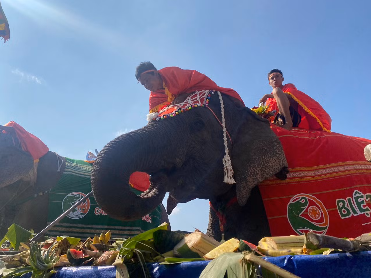 Tưng bừng Hội voi Buôn Đôn 2023 -0