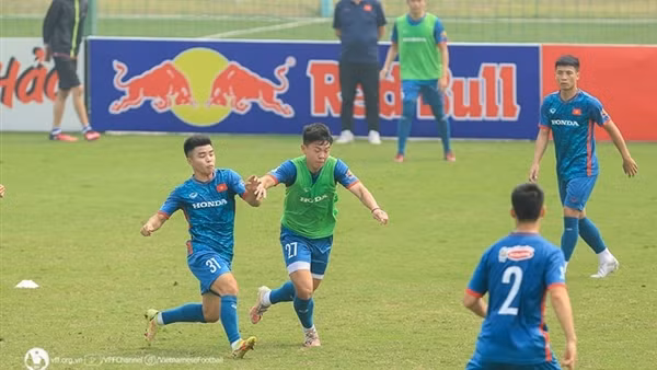 Sự kết hợp của ông Philippe Troussier