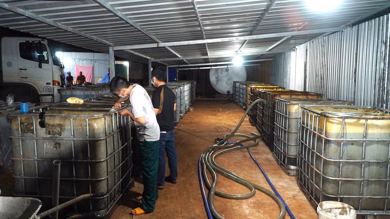 Điều tra làm rõ trách nhiệm vụ lò tái chế nhớt thải quy mô lớn trong rừng cao su -1
