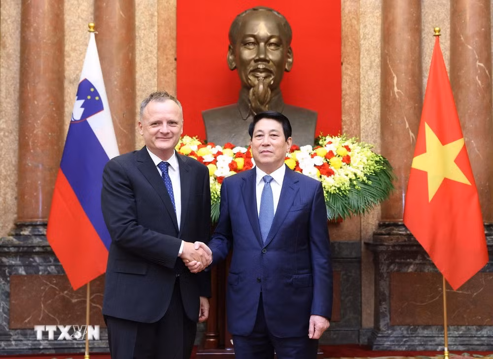Chủ tịch nước: Việt Nam luôn mong muốn phát triển quan hệ hữu nghị với các nước -0