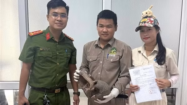 Phát hiện đường dây chuyên cung ứng động vật hoang dã cho nhà hàng