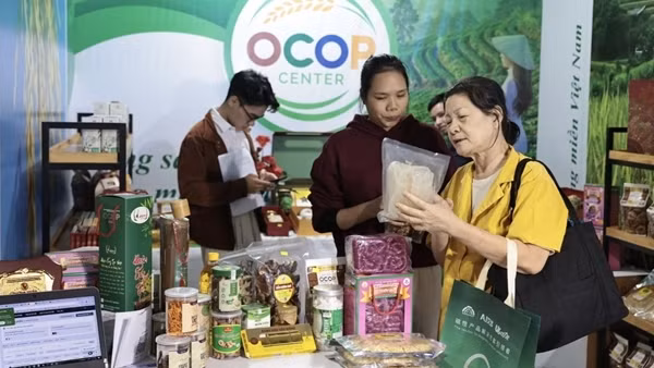 Vì sao hơn 80.000 gian hàng "bốc hơi" khỏi sàn thương mại điện tử?