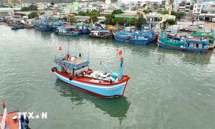 Thủ tướng cảnh báo trách nhiệm người đứng đầu nếu để tái diễn vi phạm IUU -0