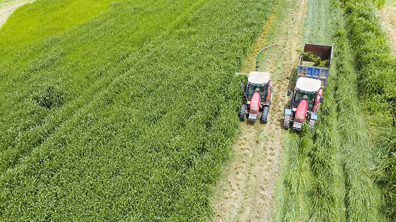 Trang trại Vinamilk Green Farm dưới lăng kính phát triển bền vững có gì đặc biệt? -0