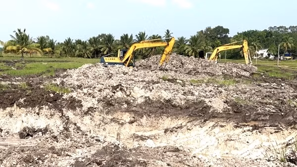 Chặn "sốt" đất từ việc kiểm soát tách thửa đất nông nghiệp ảnh 2