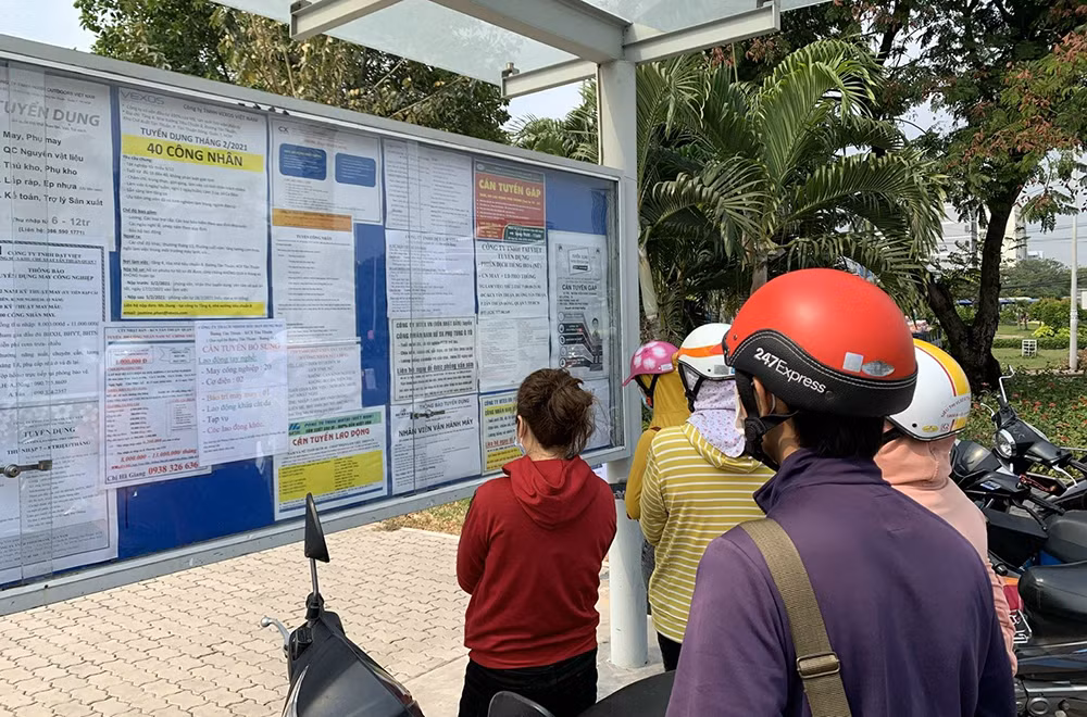 Thị trường lao động cuối năm chiếm hơn 64% ở khu vực thương mại - dịch vụ -0