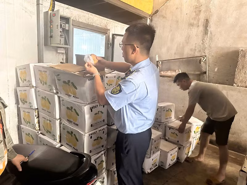 Quảng Ninh xử lý 56 vụ vi phạm an toàn thực phẩm, tiêu hủy hàng gần 1,7 tỷ đồng -0