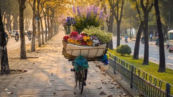 Hà Nội trời mát, Nam Bộ mưa to về chiều tối