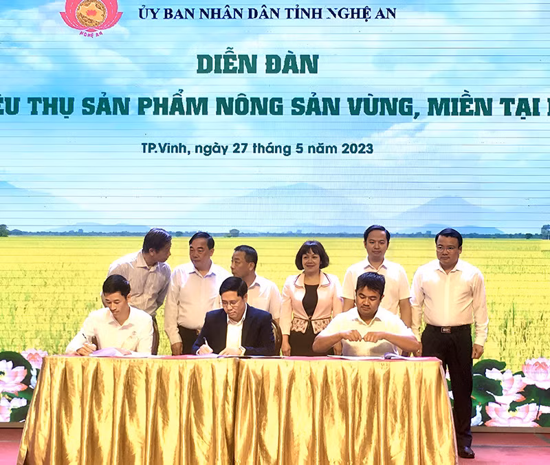 WinCommerce hợp tác thúc đẩy phát triển chuỗi giá trị nông sản chất lượng cao với tỉnh Nghệ An -0
