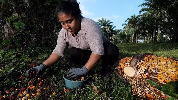 Honduras, thiên trường ca của đất và máu