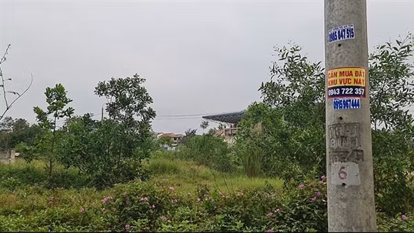 Rộ tình trạng "bỏ cọc" đất ở Quảng Trị