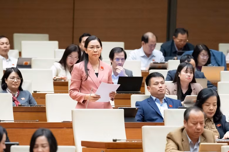Lập văn phòng đại diện của UBND cấp tỉnh ở nước ngoài, nên hay không? -0